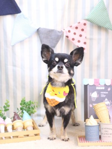 20250509オレオくん